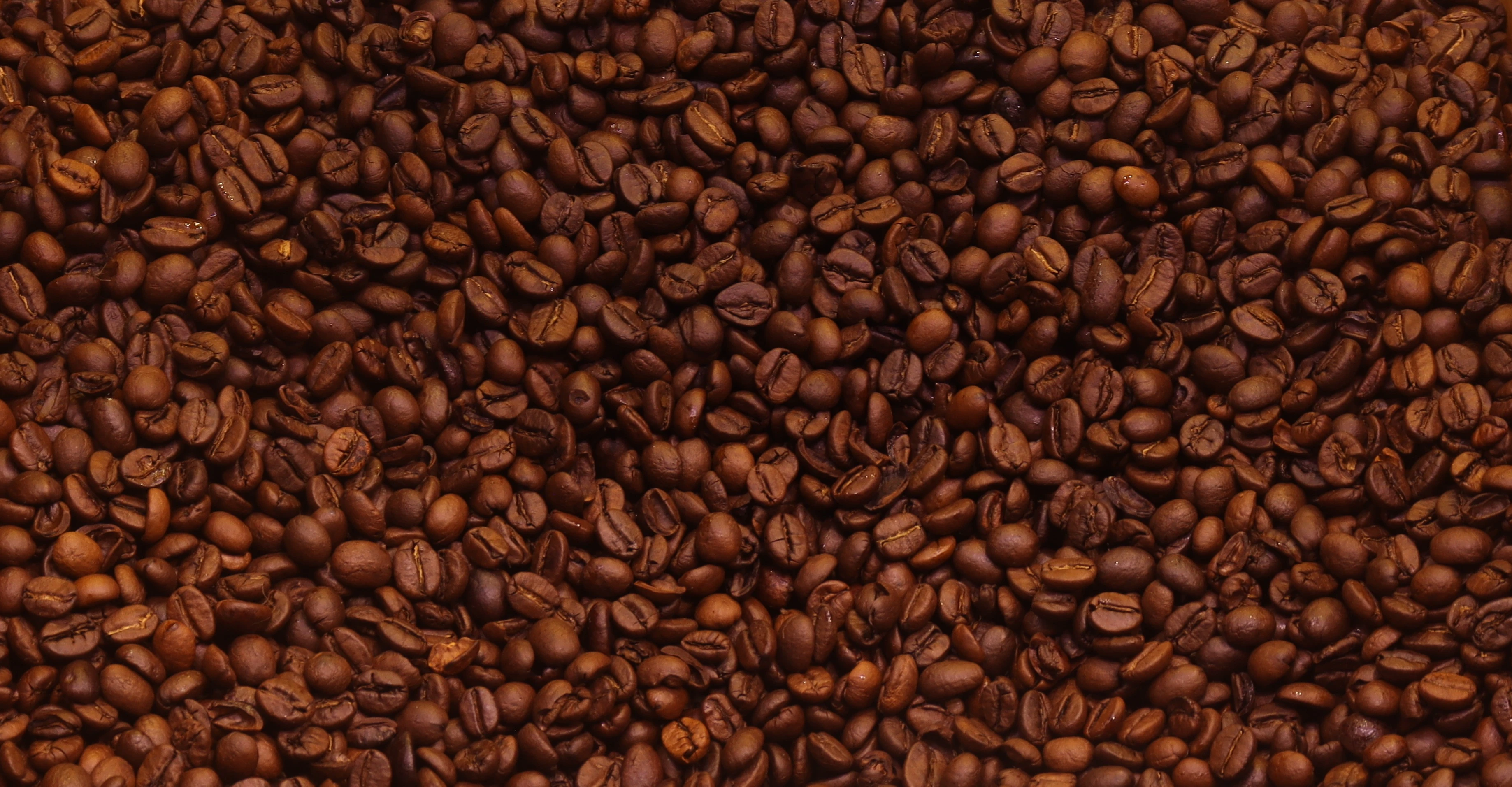 Roasted coffee beans