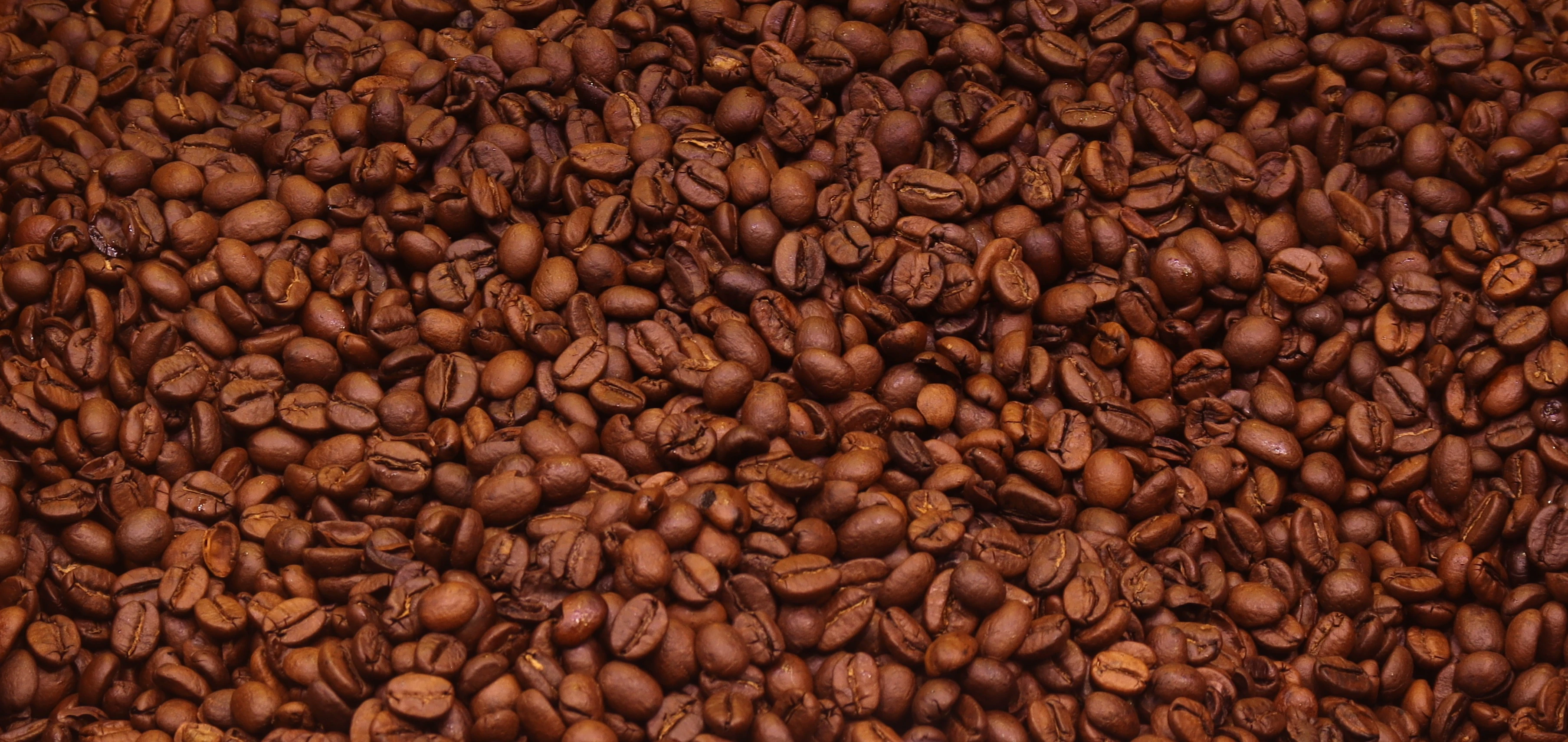 Roasted coffee beans