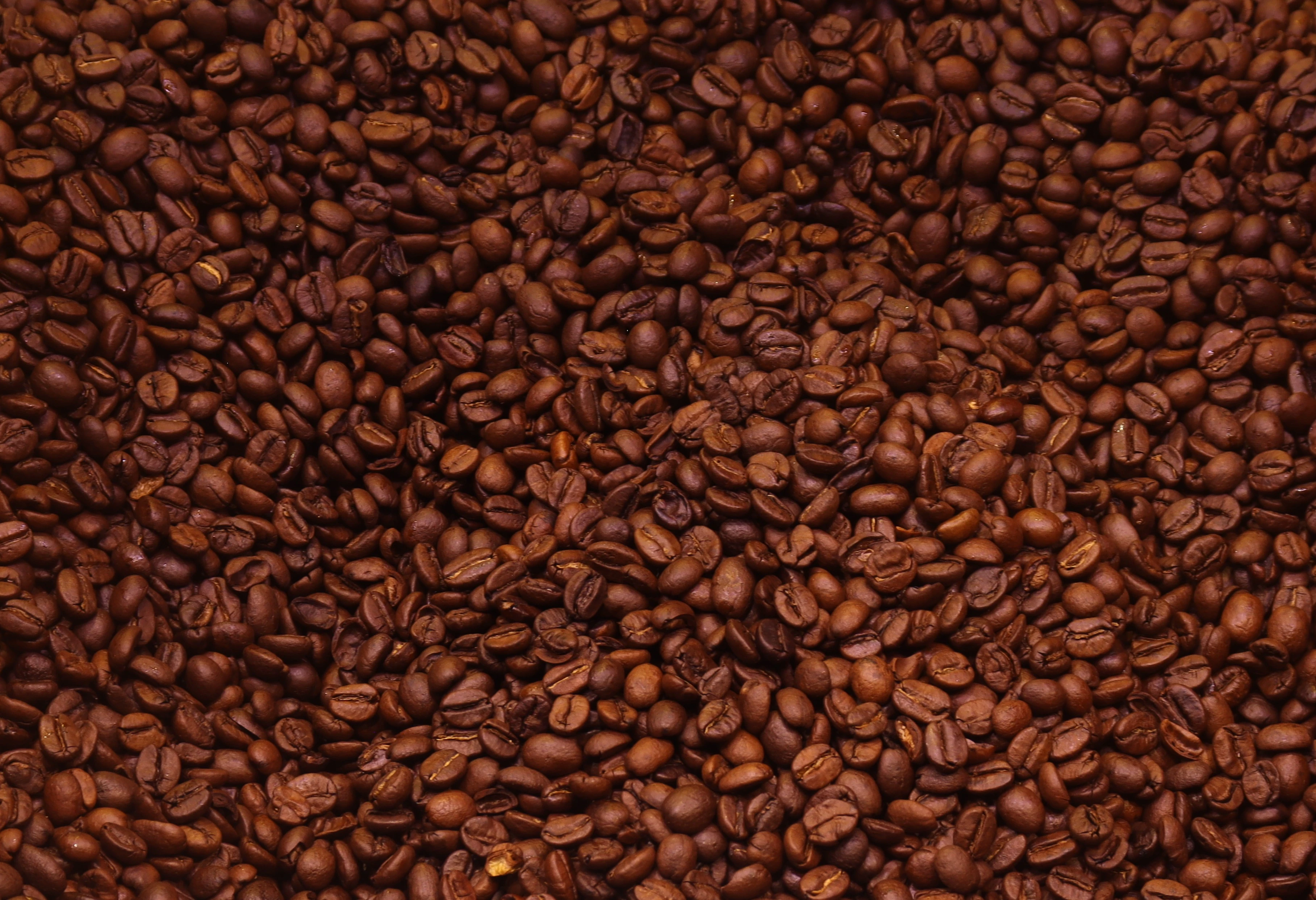Roasted Coffee Beans