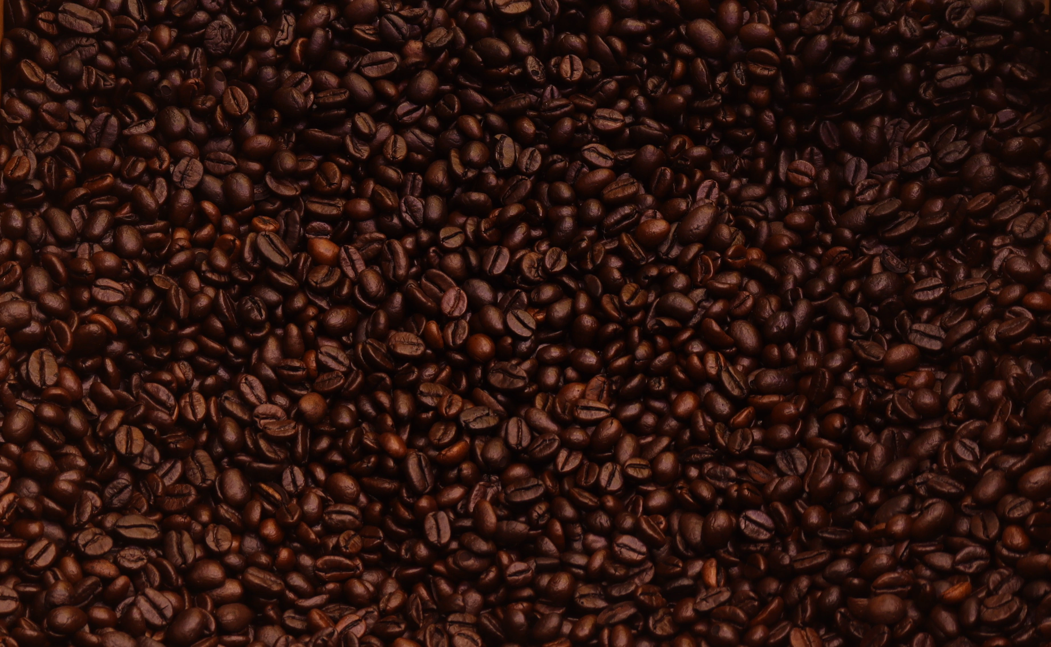 Roasted coffee beans