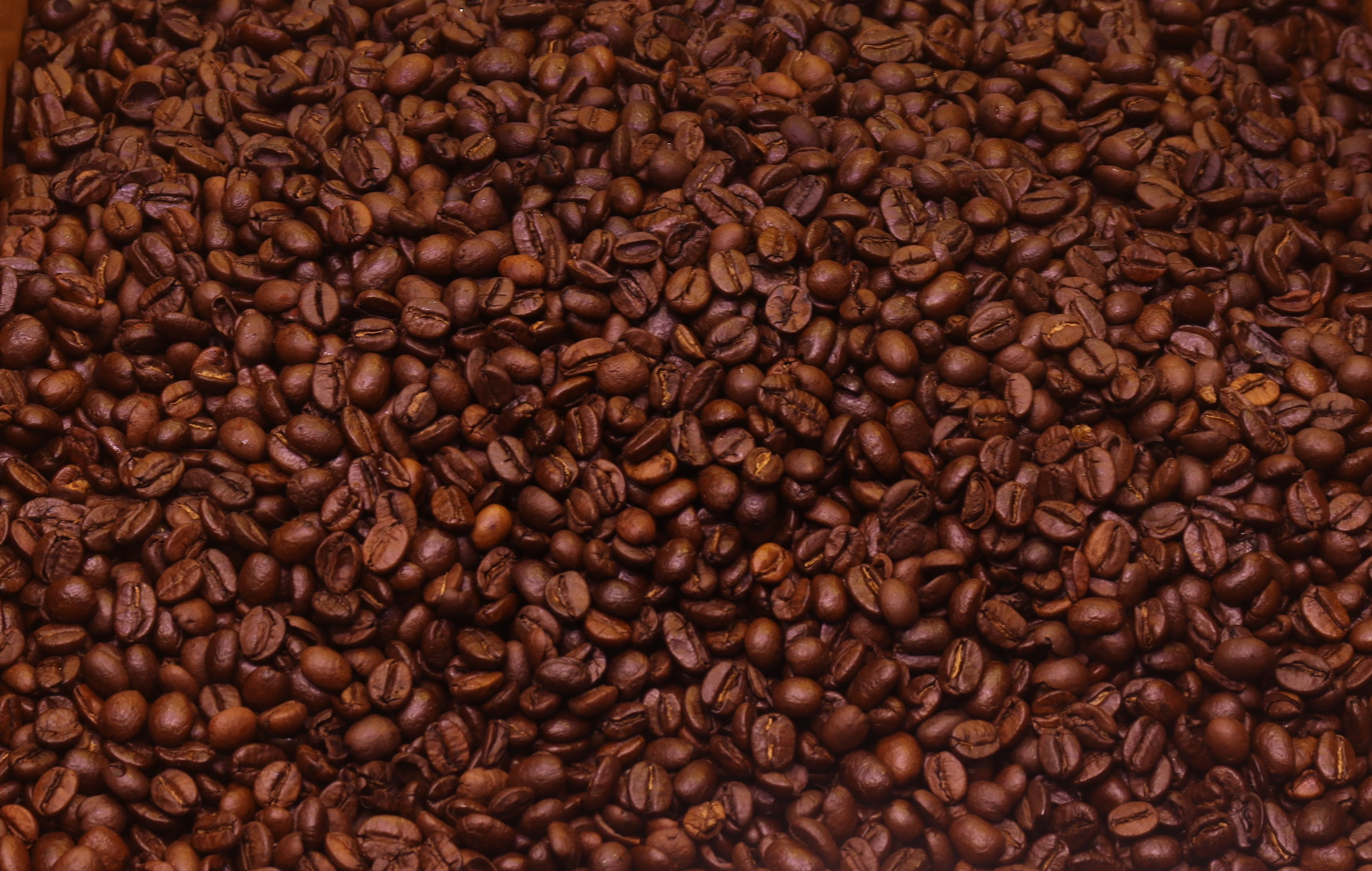 Roasted coffee beans
